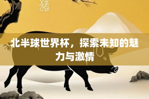 北半球世界杯，探索未知的魅力与激情