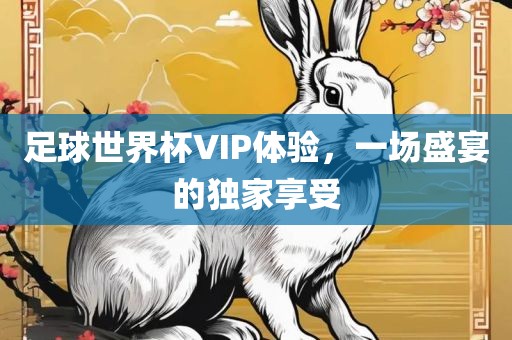 足球世界杯VIP体验，一场盛宴的独家享受眉山市正发家政服务有限公司