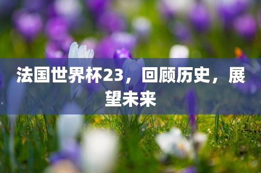法国世界杯23，回顾历史，展望未来