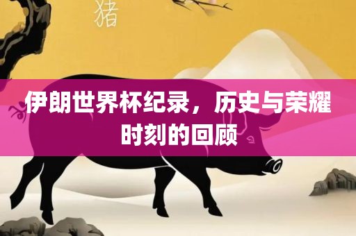 伊朗世界杯纪录，历史与荣耀时刻的回顾