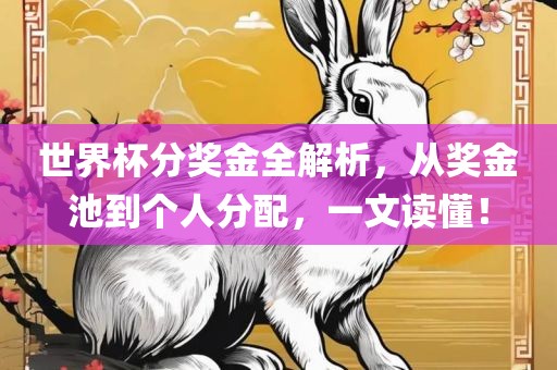 世界杯分奖金全解析，从奖金池到个人分配，一文读懂！