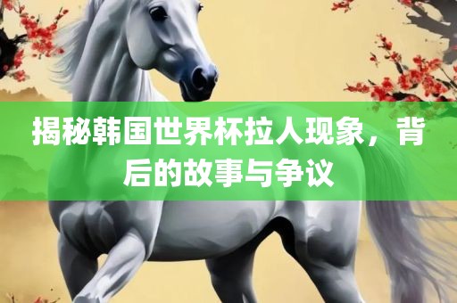揭秘韩国世界杯拉人现象，背后的故事与争议