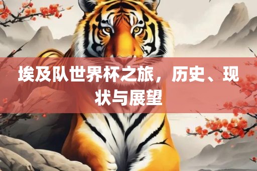 埃及队世界杯之旅，历史、现状与展望