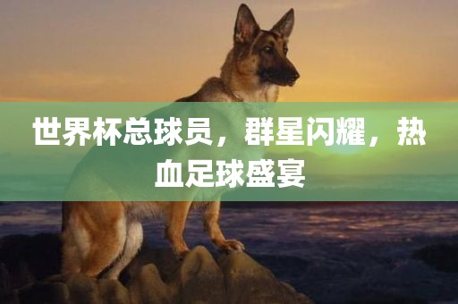 世界杯总球员，群星闪耀，热血足球盛宴