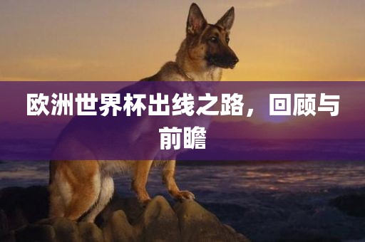 欧洲世界杯出线之路，回顾与前瞻