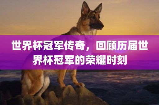 世界杯冠军传奇，回顾历届世界杯冠军的荣耀时刻