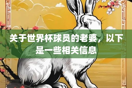 关于世界杯球员的老婆，以下是一些相关信息