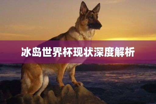 冰岛世界杯现状深度解析
