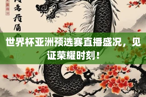 世界杯亚洲预选赛直播盛况，见证荣耀时刻！