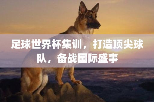 足球世界杯集训，打造顶尖球队，备战国际盛事
