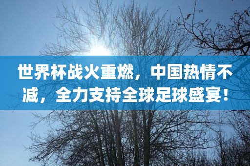 世界杯战火重燃，中国热情不减，全力支持全球足球盛宴！