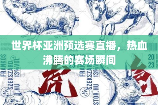 世界杯亚洲预选赛直播，热血沸腾的赛场瞬间
