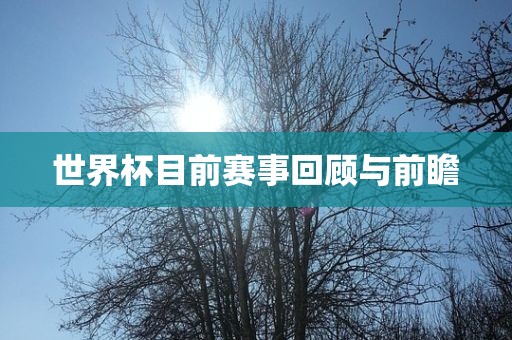 世界杯目前赛事回顾与前瞻