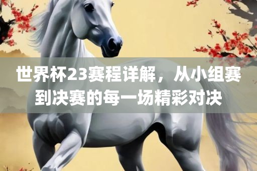 世界杯23赛程详解，从小组赛到决赛的每一场精彩对决