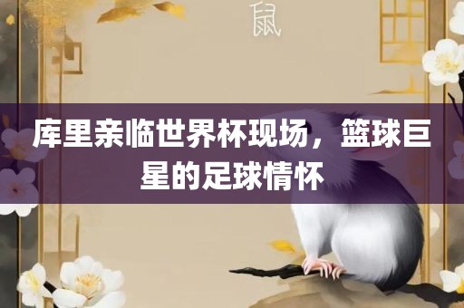 库里亲临世界杯现场，篮球巨星的足球情怀眉山市正发家政服务有限公司