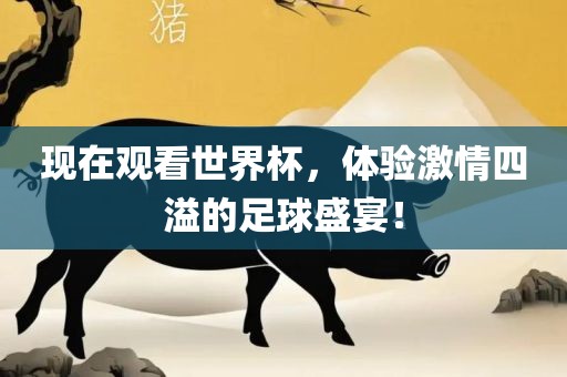 现在观看世界杯，体验激情四溢的足球盛宴！