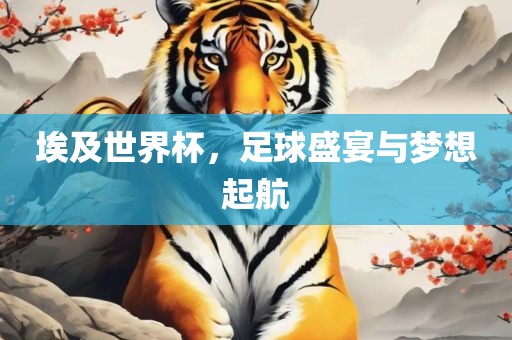 埃及世界杯，足球盛宴与梦想起航
