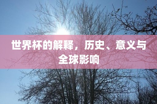 眉山市正发家政服务有限公司世界杯的解释，历史、意义与全球影响