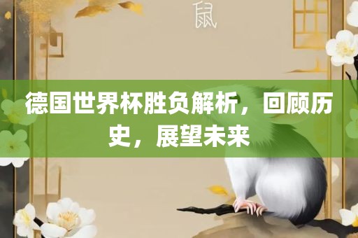 德国世界杯胜负解析，回顾历史，展望未来