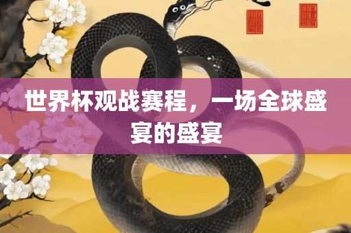 世界杯观战赛程，一场全球盛宴的盛宴