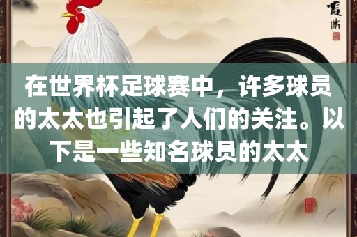 在世界杯足球赛中，许多球员的太太也引起了人们的关注。以下是一些知名球员的太太