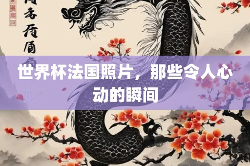 世界杯法国照片，那些令人心动的瞬间