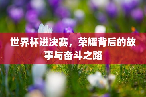 世界杯进决赛，荣耀背后的故事与奋斗之路