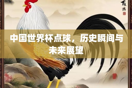 中国世界杯点球，历史瞬间与未来展望