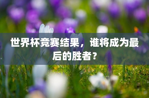 世界杯竞赛结果，谁将成为最后的胜者？