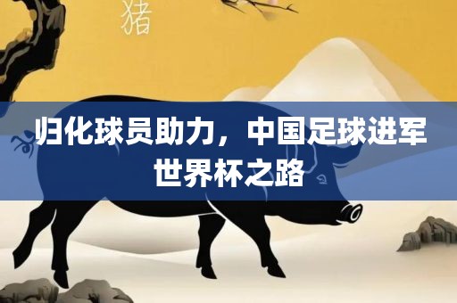 归化球员助力，中国足球进军世界杯之路