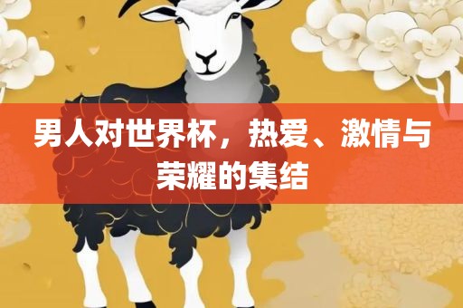男人对世界杯，热爱、激情与荣耀的集结