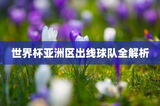 世界杯亚洲区出线球队全解析