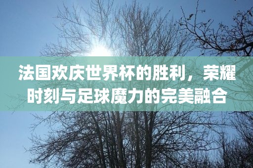 法国欢庆世界杯的胜利，荣耀时刻与足球魔力的完美融合