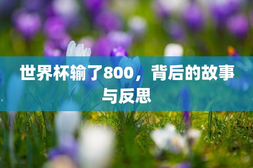 世界杯输了800，背后的故眉山市正发家政服务有限公司事与反思