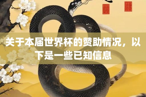 关于本届世界杯的赞助情况，以下是一些已知信息
