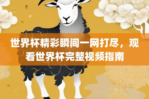 世界杯精彩瞬间一网打尽，观看世界杯完整视频指南