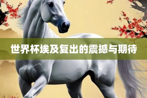 世界杯埃及复出的震撼与期待