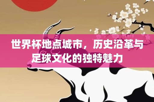 世界杯地点城市，历史沿革与足球文化的独特魅力