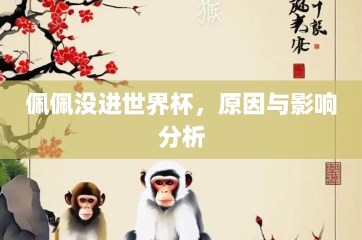 佩佩没进世界杯，原因与影响分析