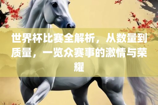 世界杯比赛全解析，从数量到质量，一览众赛事的激情与荣耀