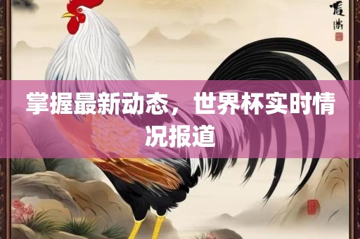 掌握最新动态，世界杯实时情况报道