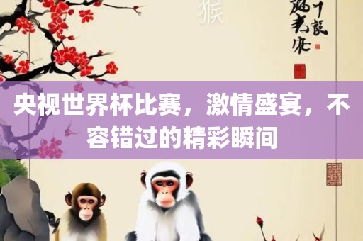 央视世界杯比赛，激情盛宴，不容错过的精彩瞬间