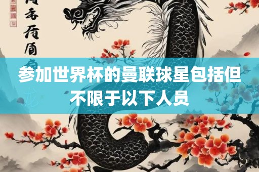 参加世界杯的曼联球星包括但不限于以下人员