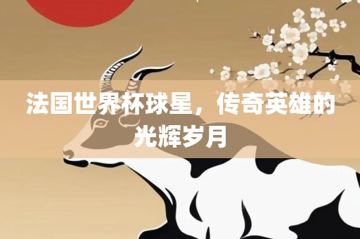 法国世界杯球星，传奇英雄的光辉岁月