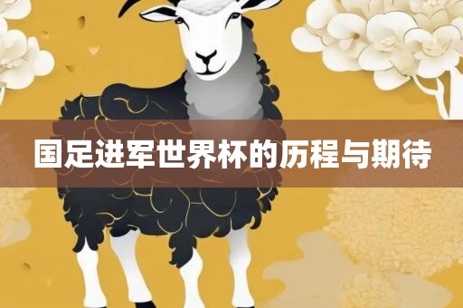 国足进军世界杯的历程与期待