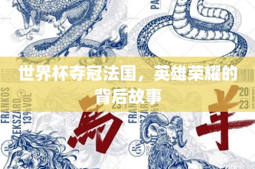 世界杯夺冠法国，英雄荣耀的背后故事
