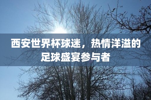 西安世界杯球迷，热情洋溢的足球盛宴参与者
