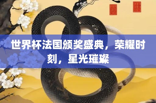 世界杯法国颁奖盛典，荣耀时刻，星光璀璨