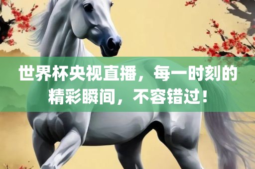 世界杯央视直播，每一时刻的精彩瞬间，不容错过！