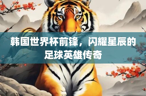 韩国世界杯前锋，闪耀星辰的足球英雄传奇